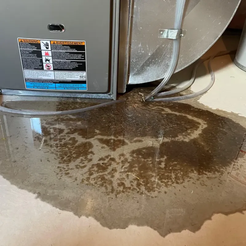 Appliance Leak Cleanup in Mineral Springs, NC