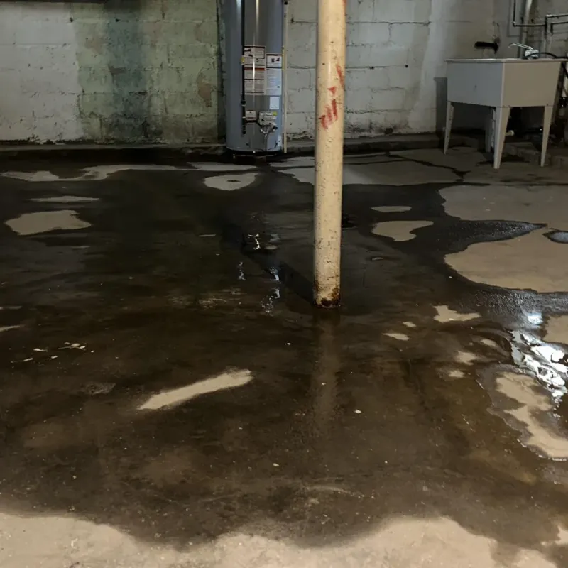 Emergency Water Extraction And Removal in Mineral Springs, NC